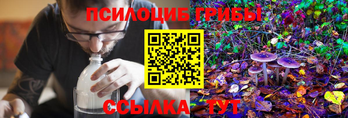 Псилоцибиновые грибы мицелий Фролово