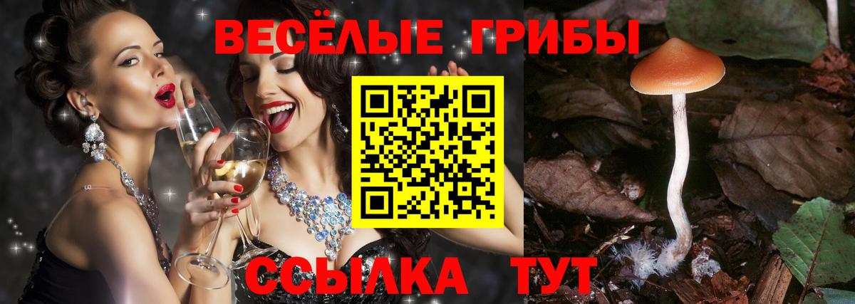 Фролово  Псилоцибиновые грибы Cubensis  Псилоцибиновые грибы GOLDEN TEACHER  Вход с VPN 